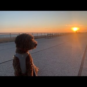 Meet your Posher, Shann